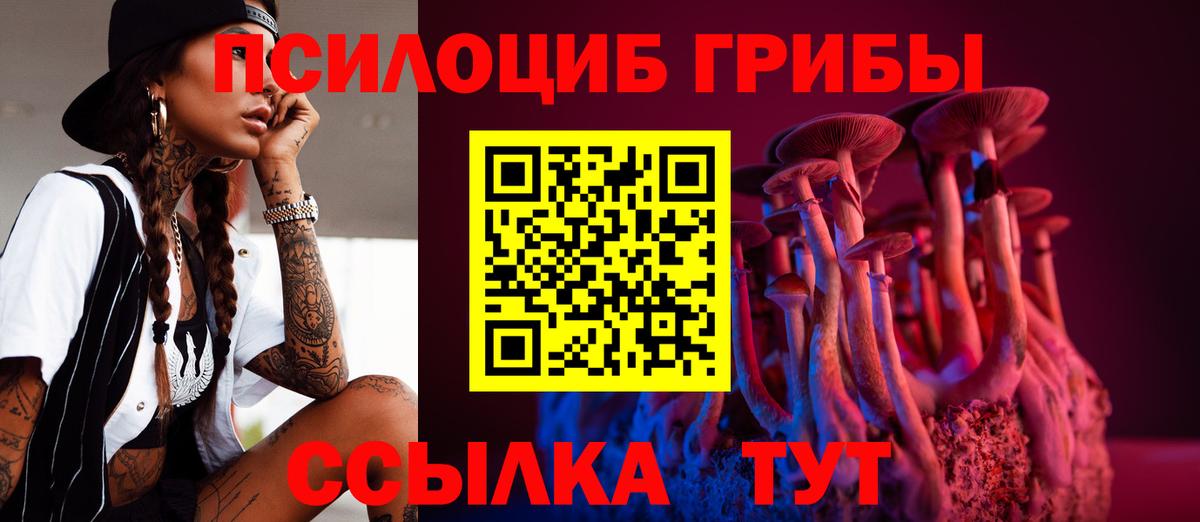 Ковров  Галлюциногенные грибы Psilocybe  Вход с VPN 