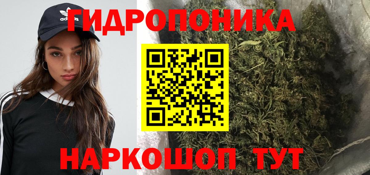 Бошки Шишки план  Бошки марихуана OG Kush  Вход с VPN  Канабис конопля  Ковров 